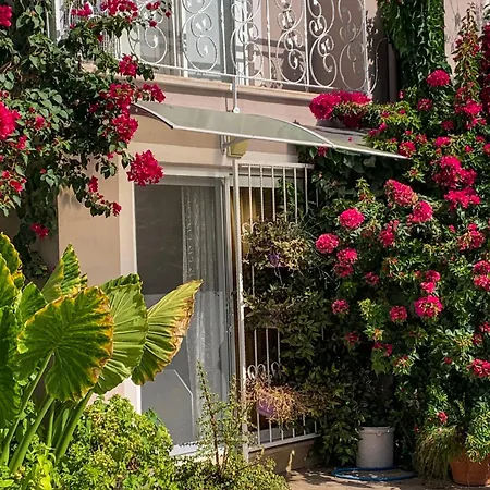 Eser Apart Dalyan Apart-hotel Ortaca (Mugla)